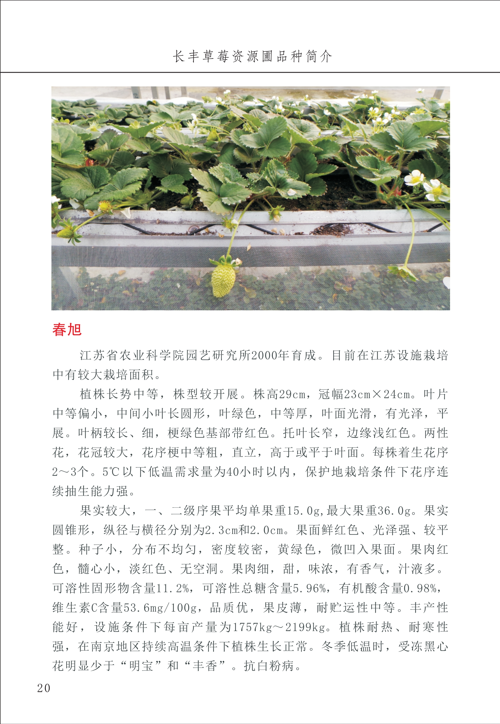 長豐農技中心1_24.jpg