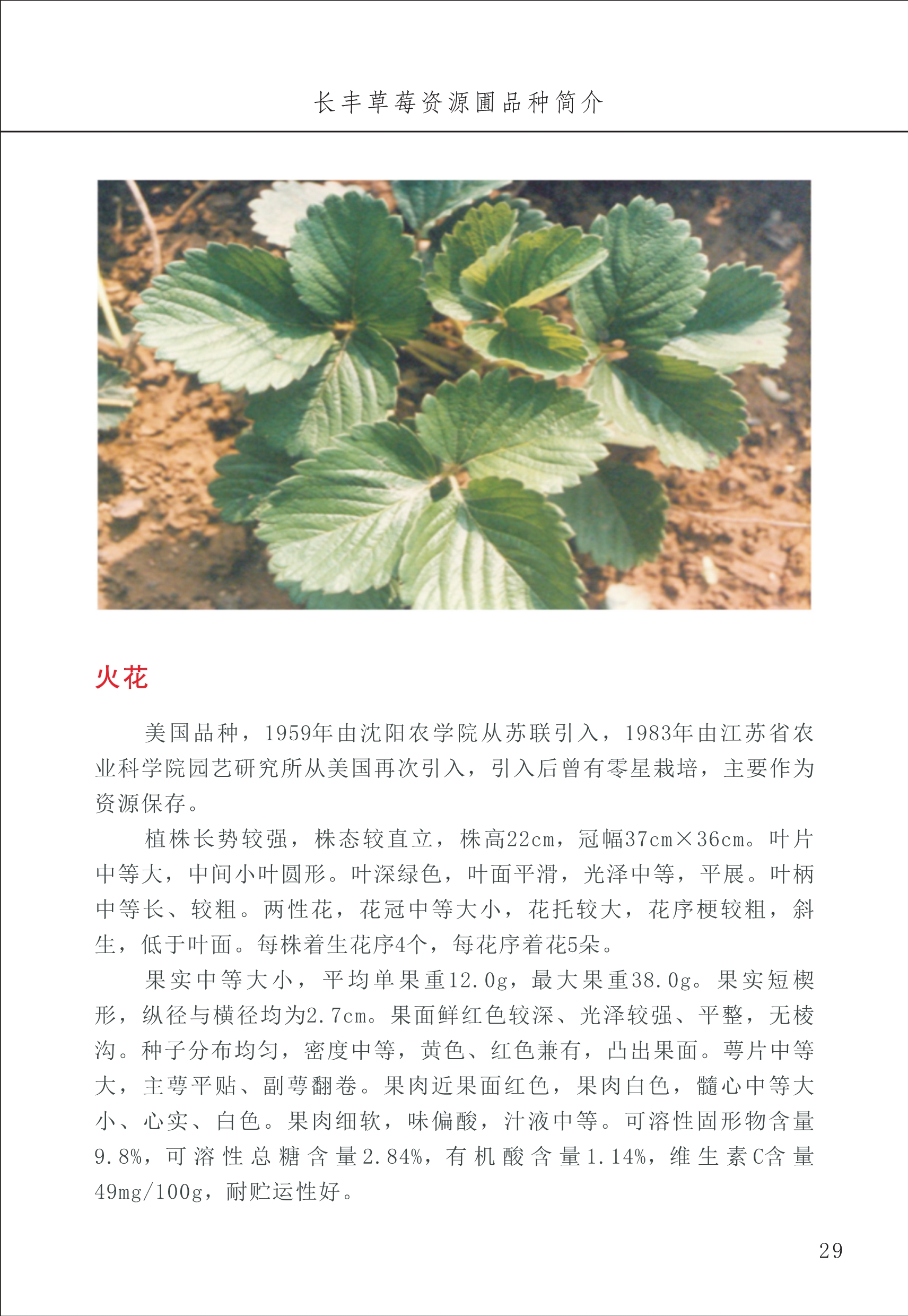 長豐農技中心1_33.jpg