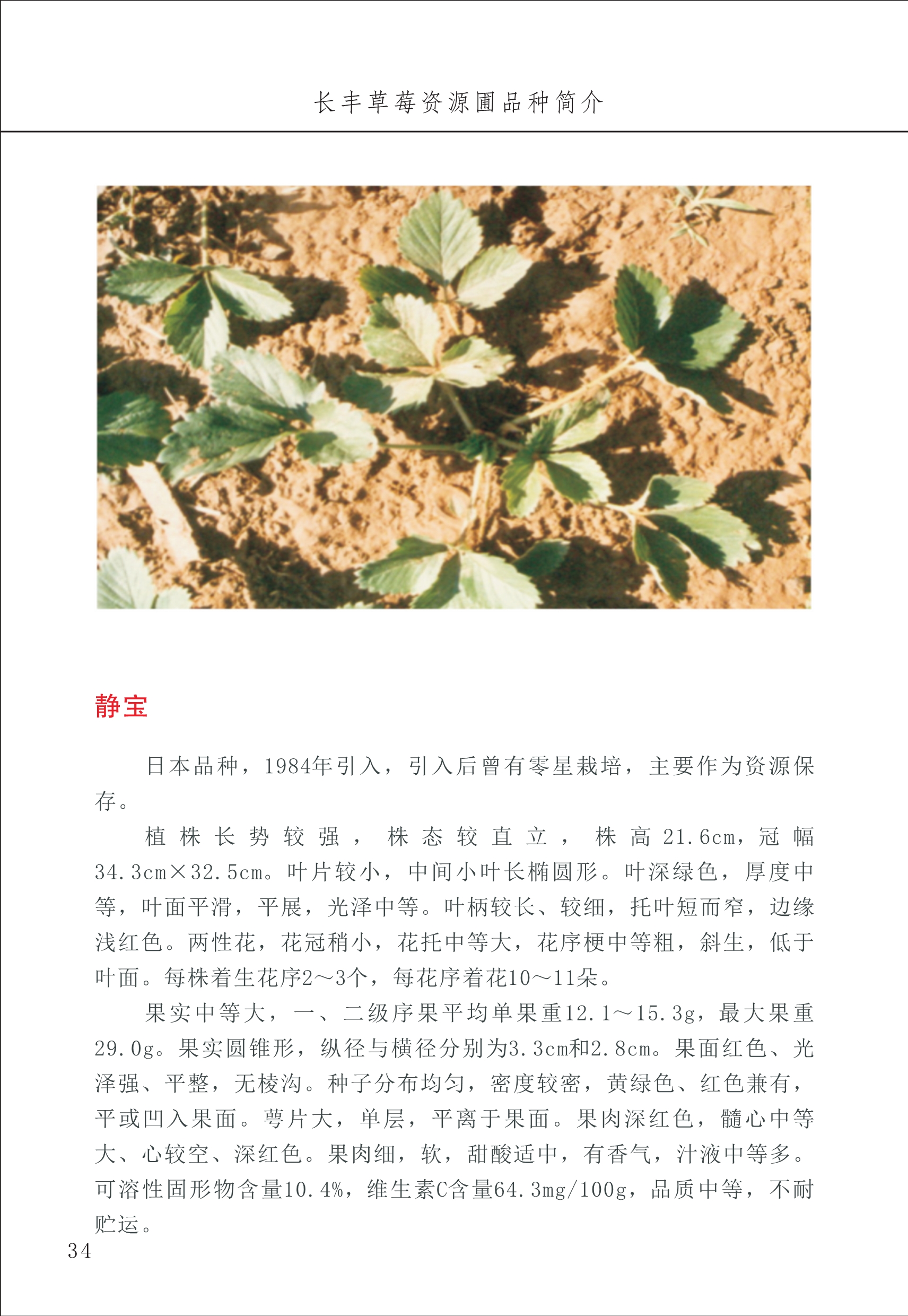 長豐農技中心1_38.jpg