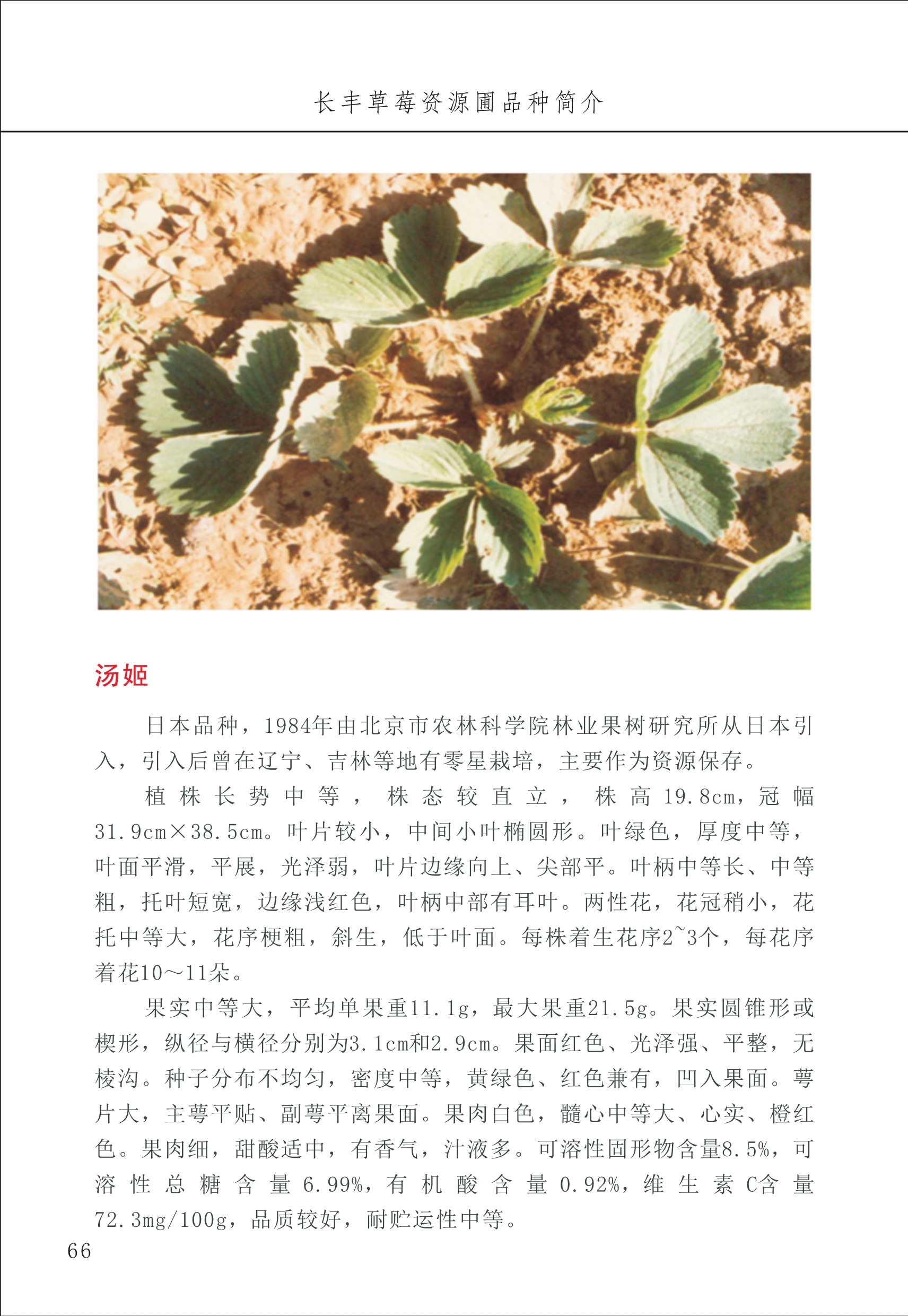 長豐農技中心1_70.jpg