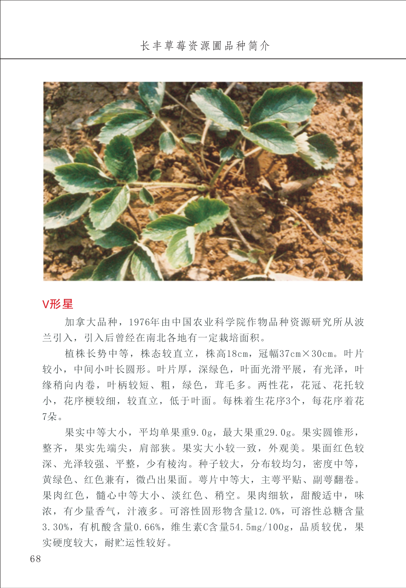 長豐農技中心1_72.jpg