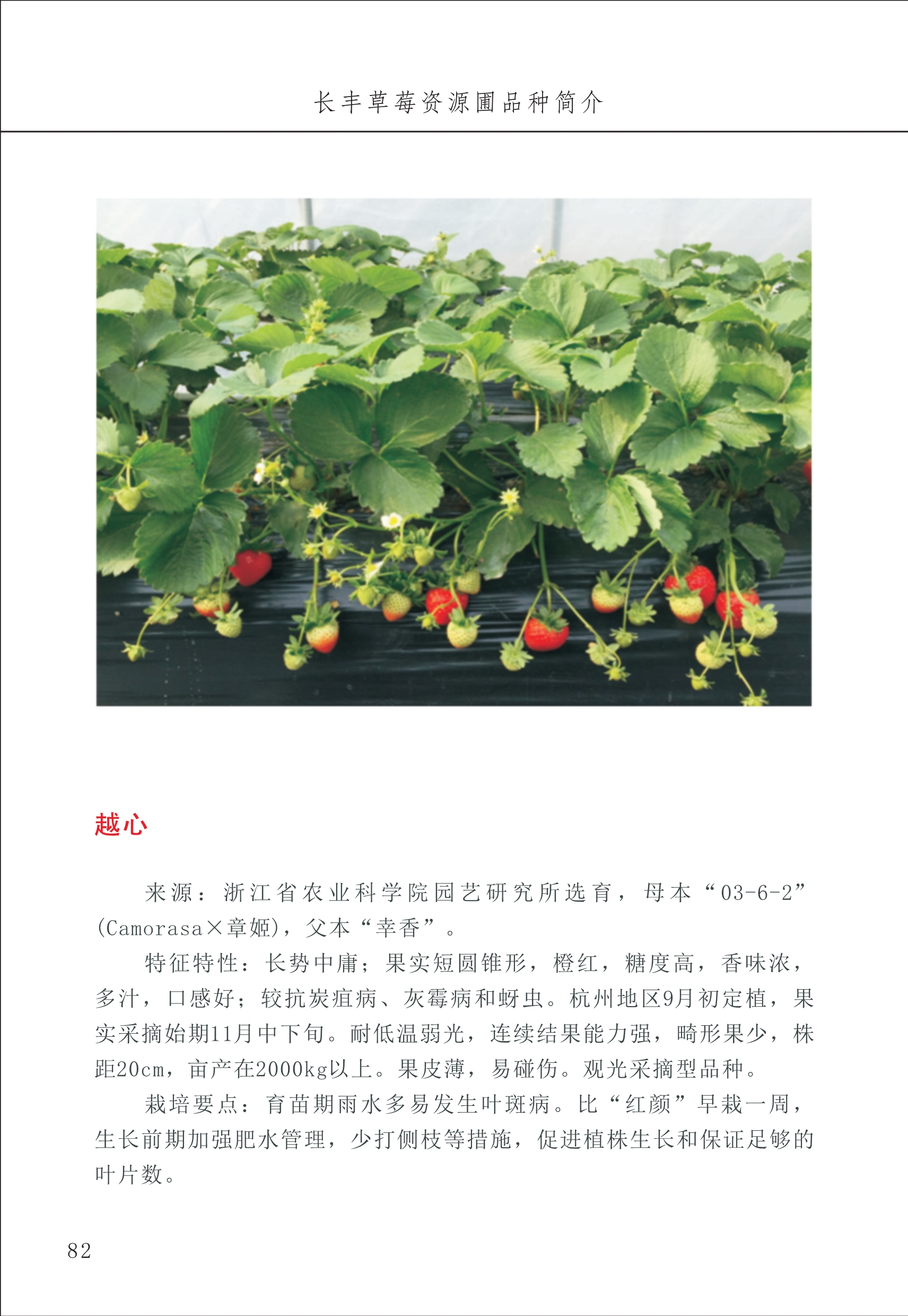 長豐農技中心1_86.jpg