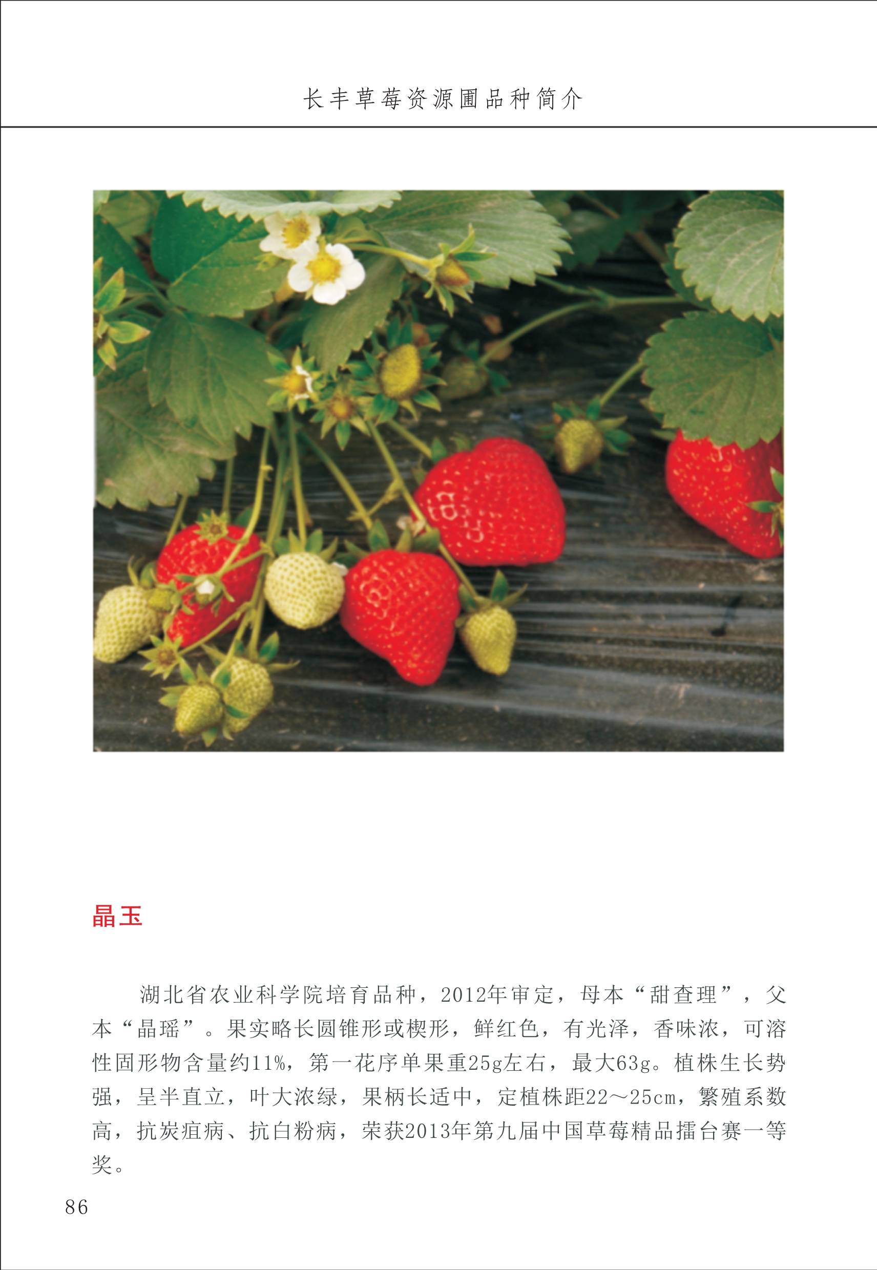 長(zhǎng)豐農(nóng)技中心1_90.jpg