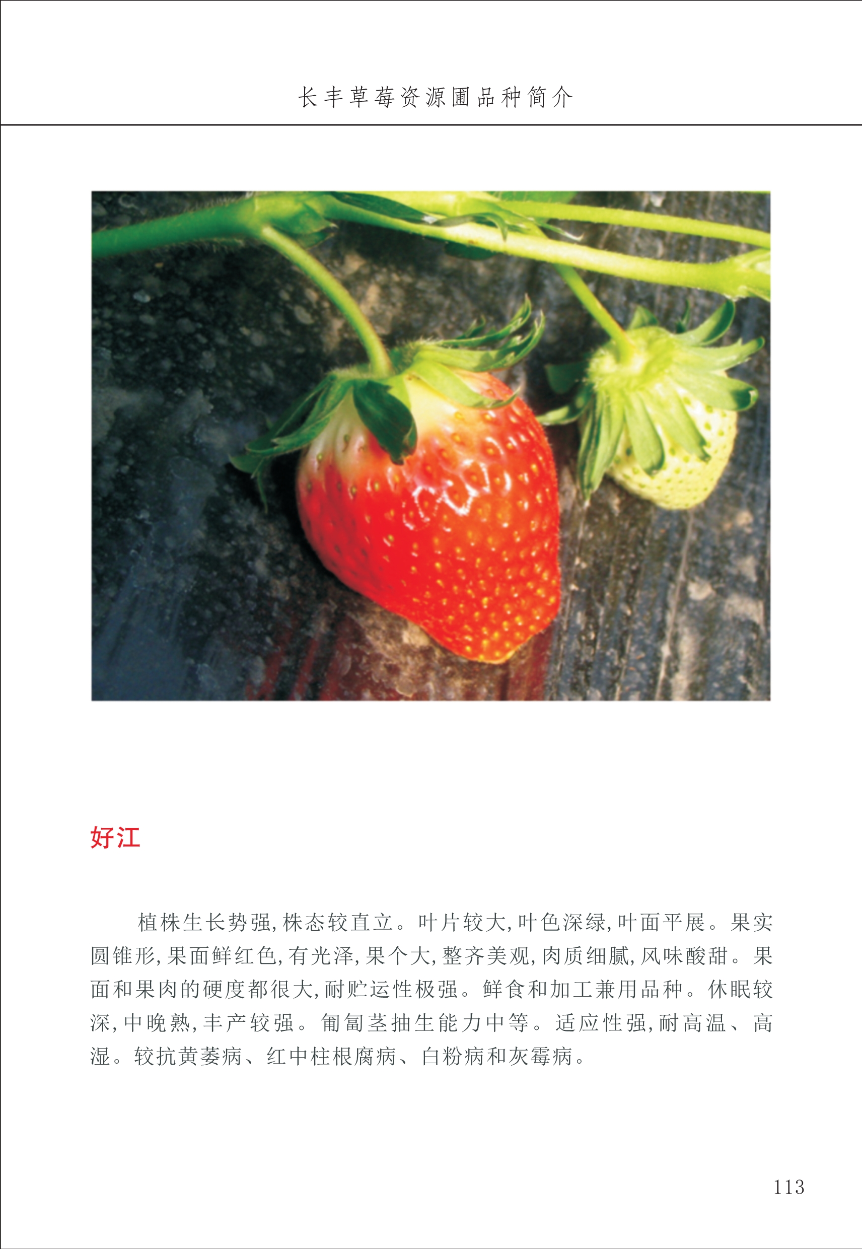 長豐農技中心2_13.jpg