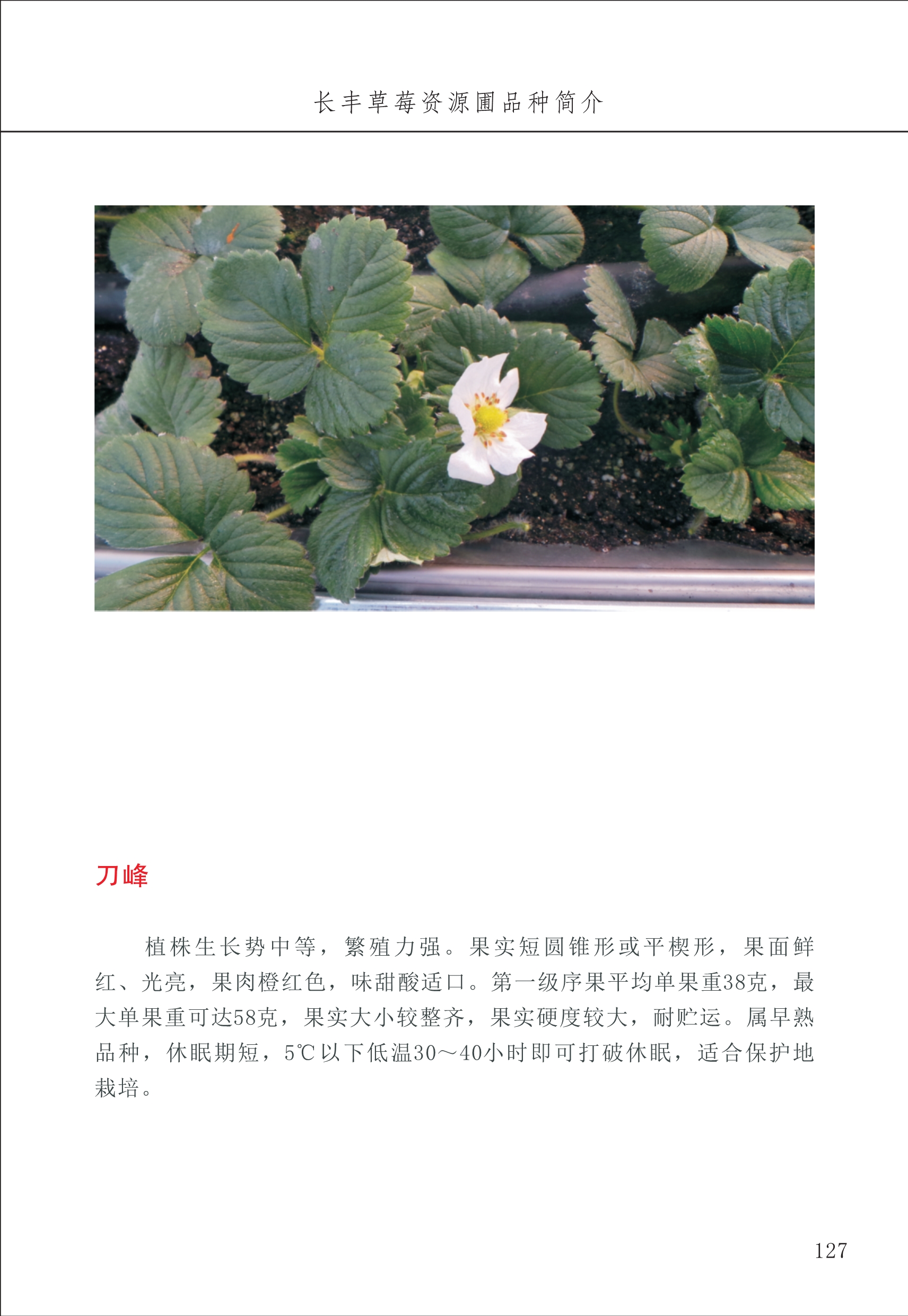 長(zhǎng)豐農(nóng)技中心2_27.jpg