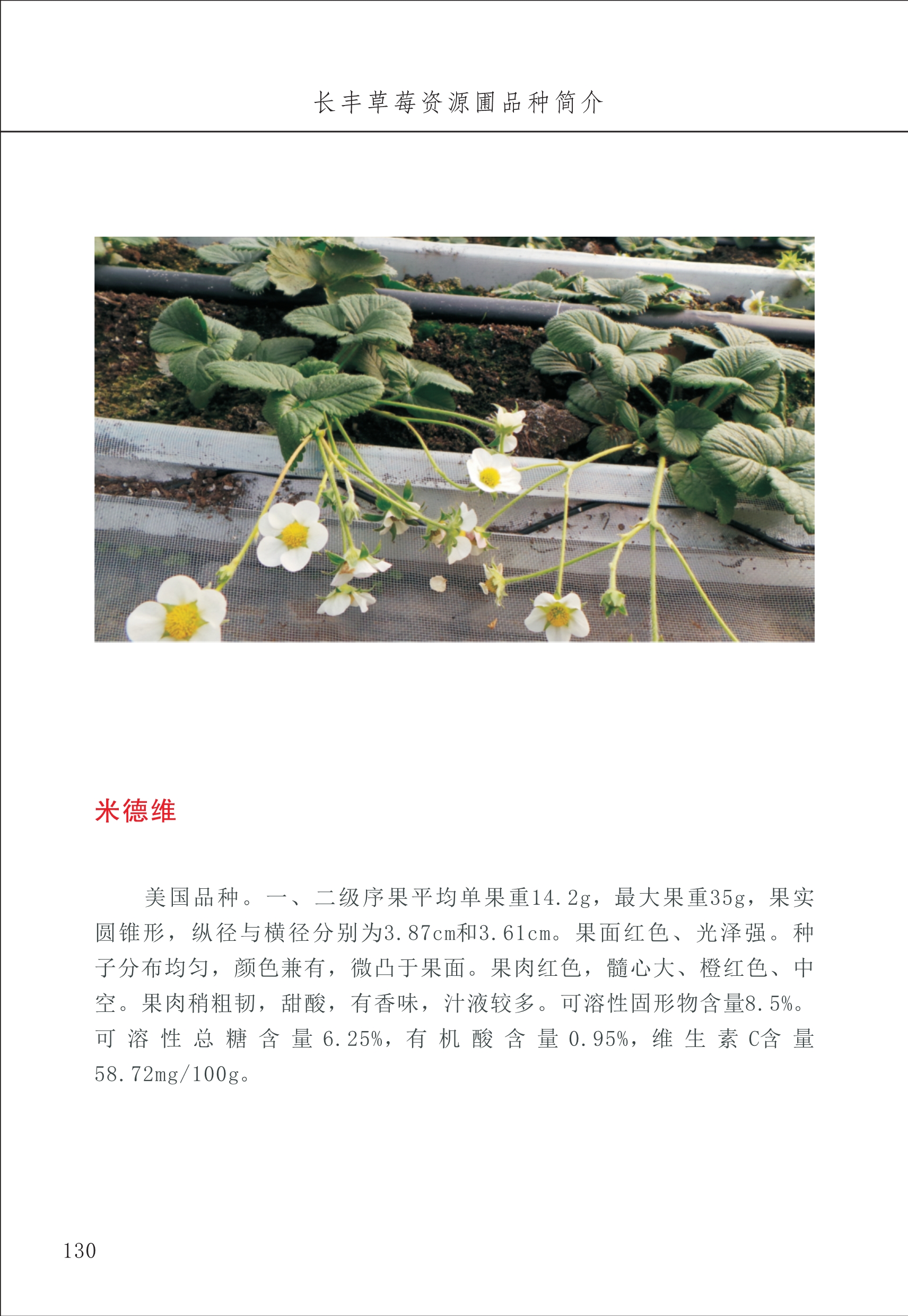 長豐農技中心2_30.jpg