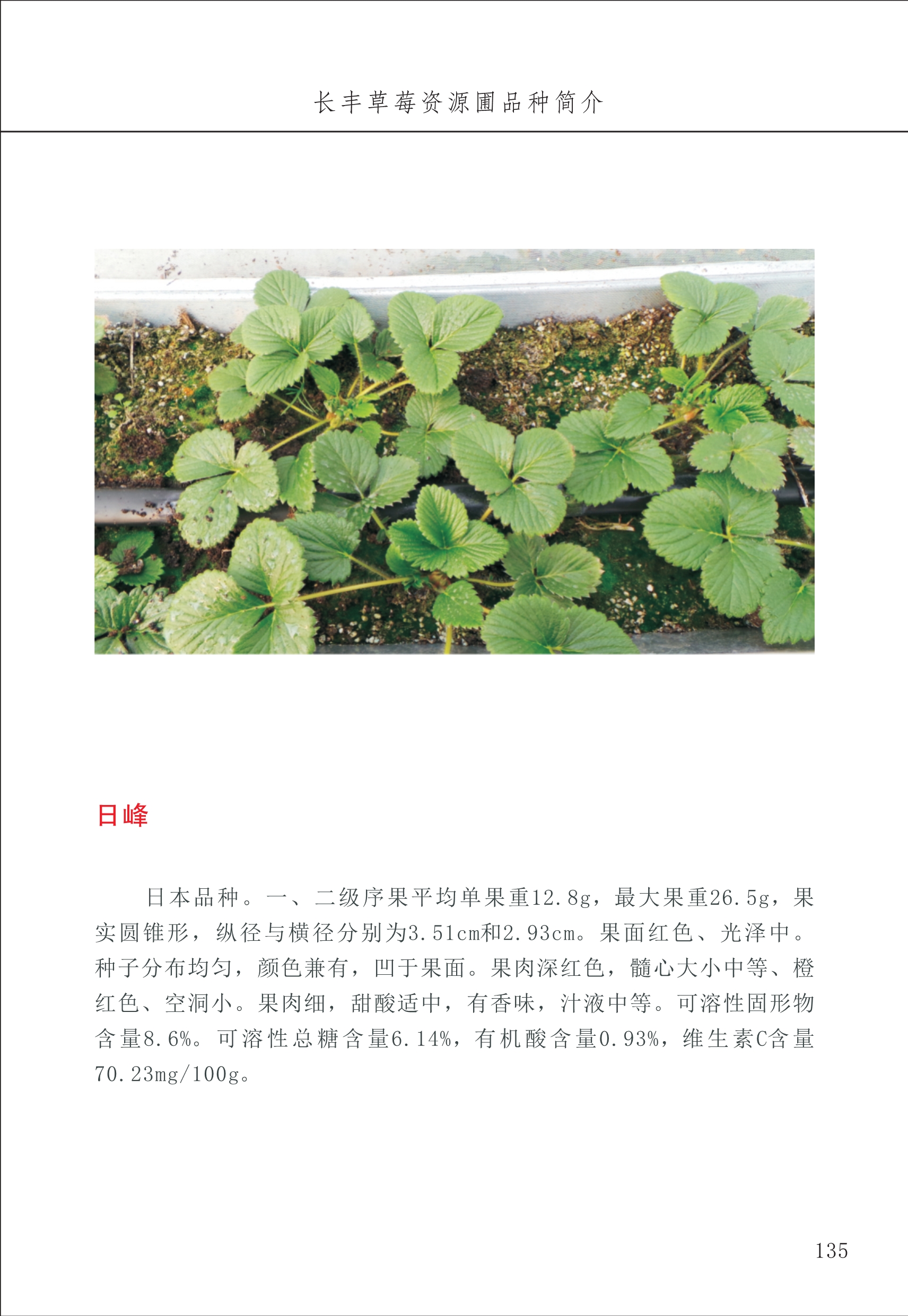 長豐農技中心2_35.jpg
