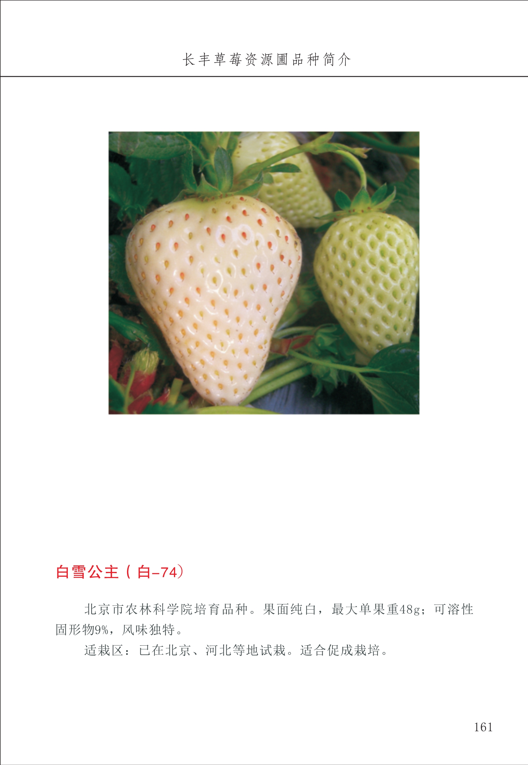 長(zhǎng)豐農(nóng)技中心2_61.jpg