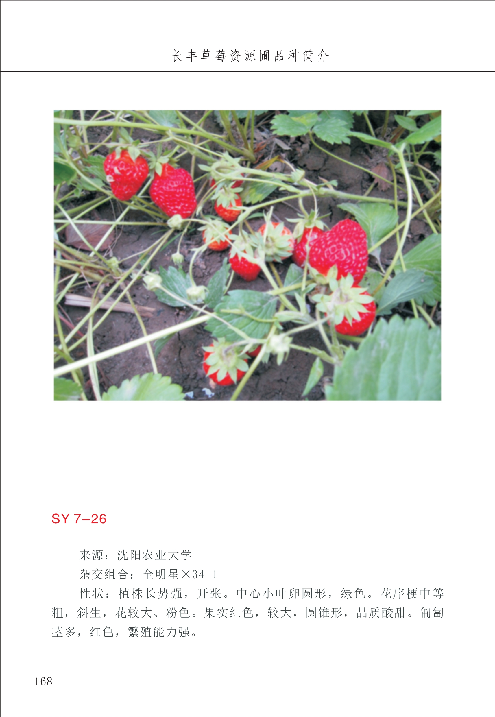 長豐農技中心2_68.jpg