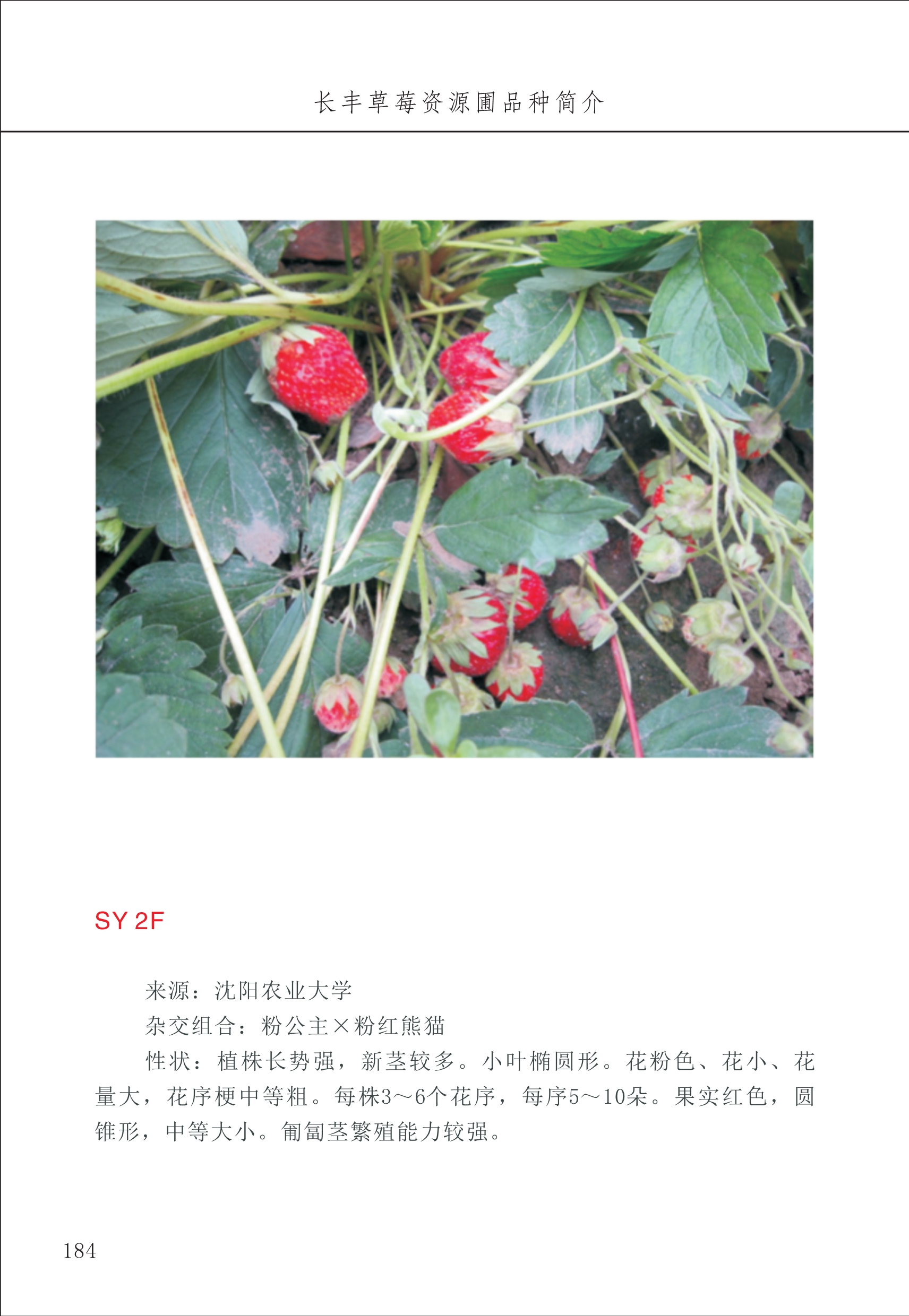 長(zhǎng)豐農(nóng)技中心2_84.jpg