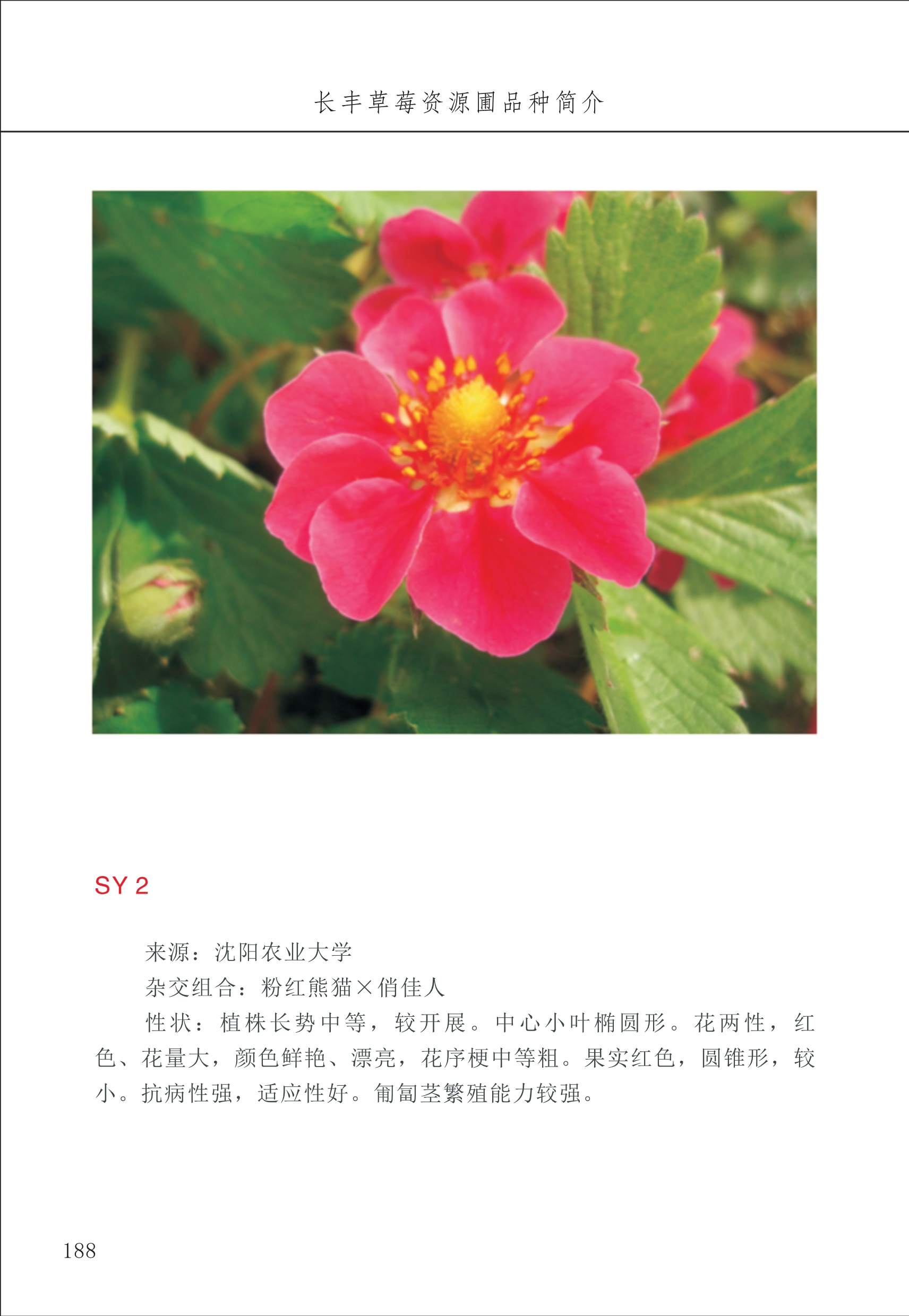 長(zhǎng)豐農(nóng)技中心2_88.jpg
