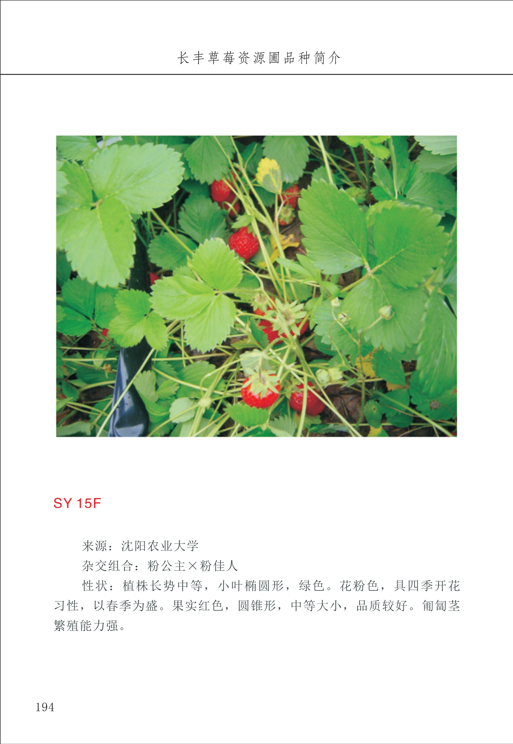 長豐農技中心2_94.jpg
