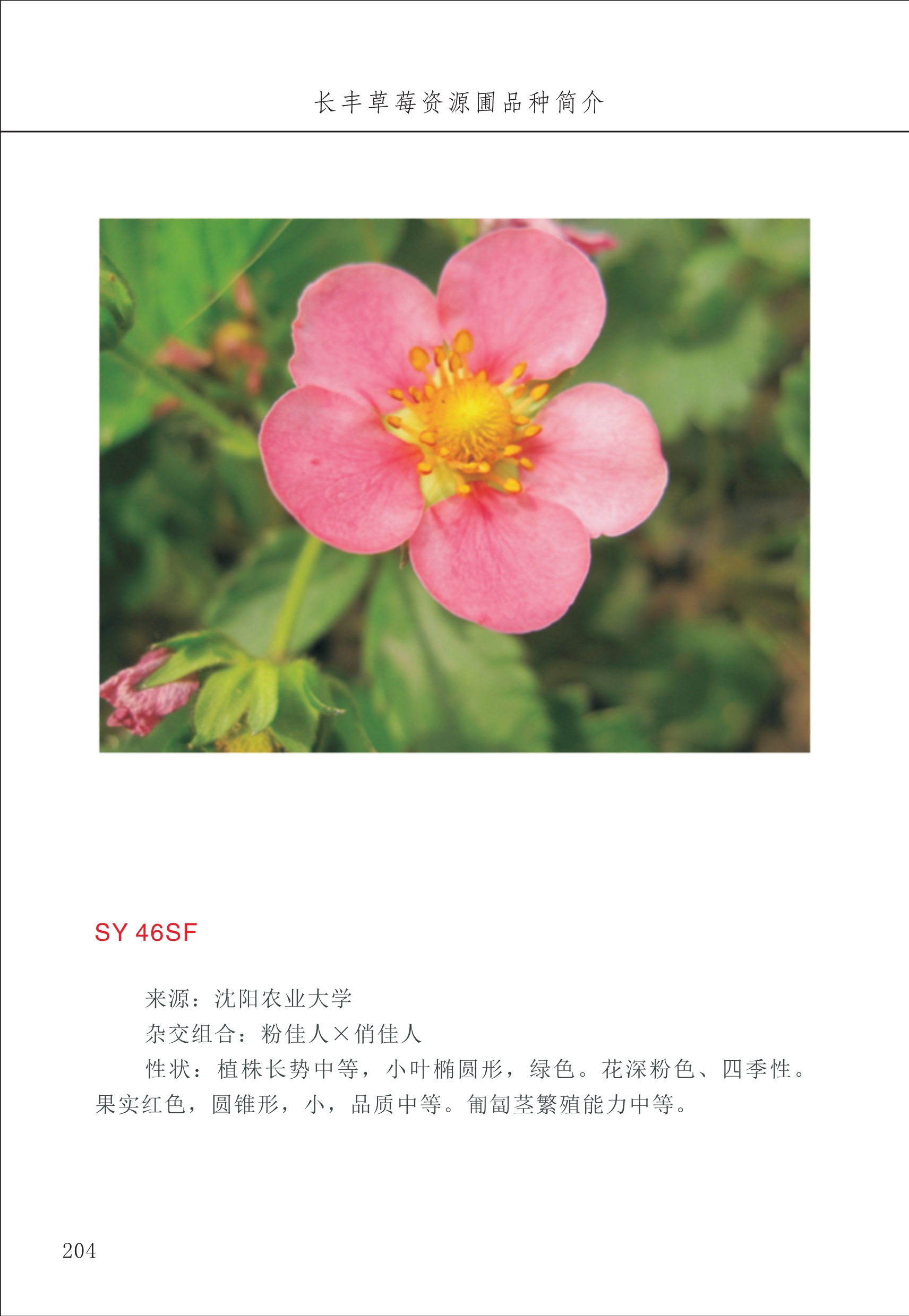 長豐農技中心3_4.jpg