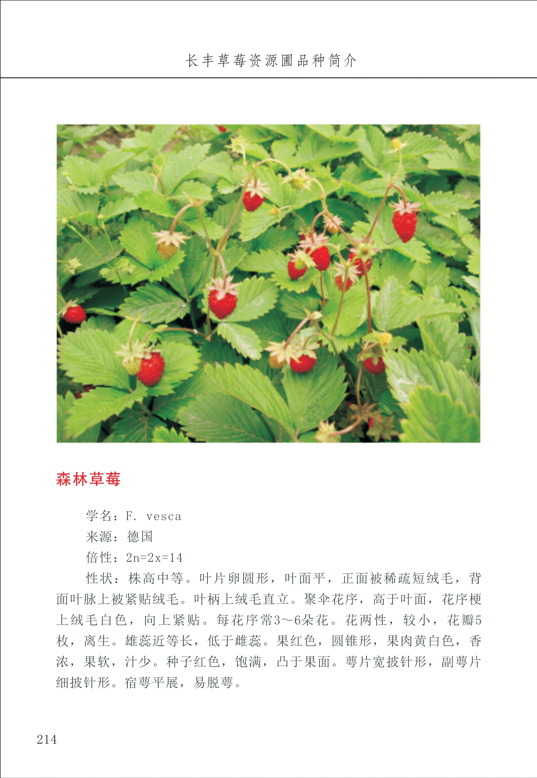 長豐農技中心3_14.jpg