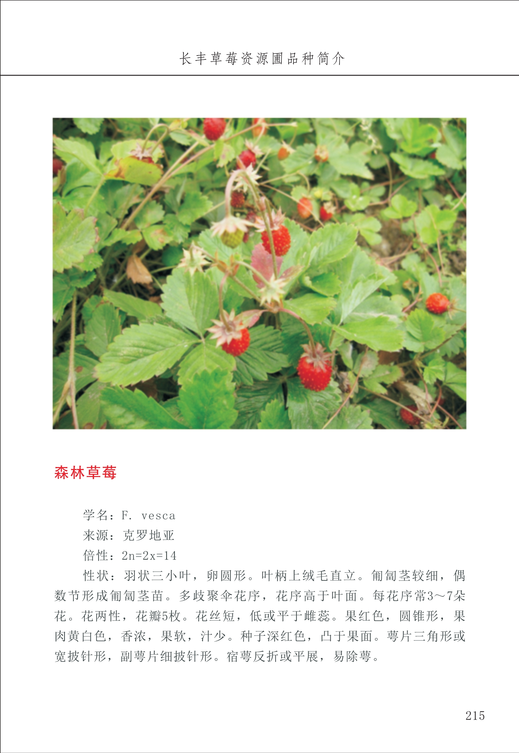 長豐農技中心3_15.jpg