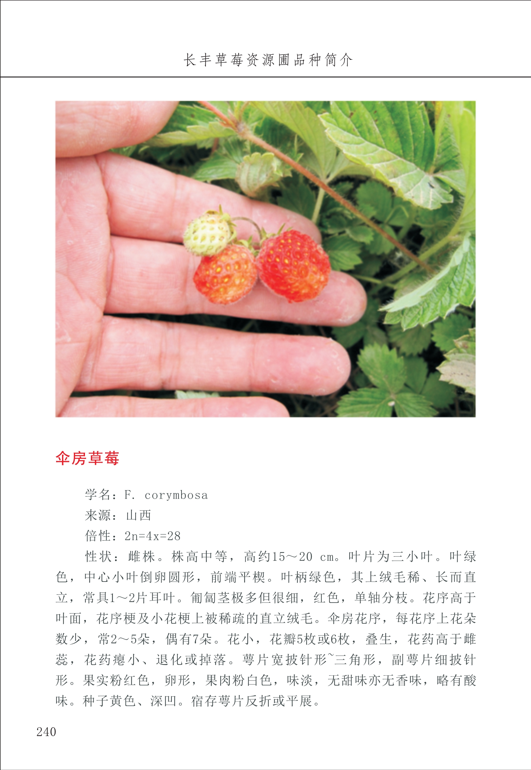 長豐農技中心3_40.jpg