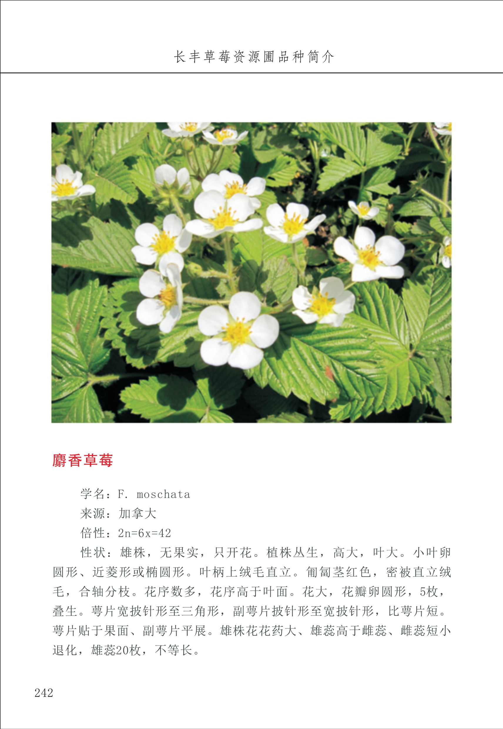 長豐農(nóng)技中心3_42.jpg