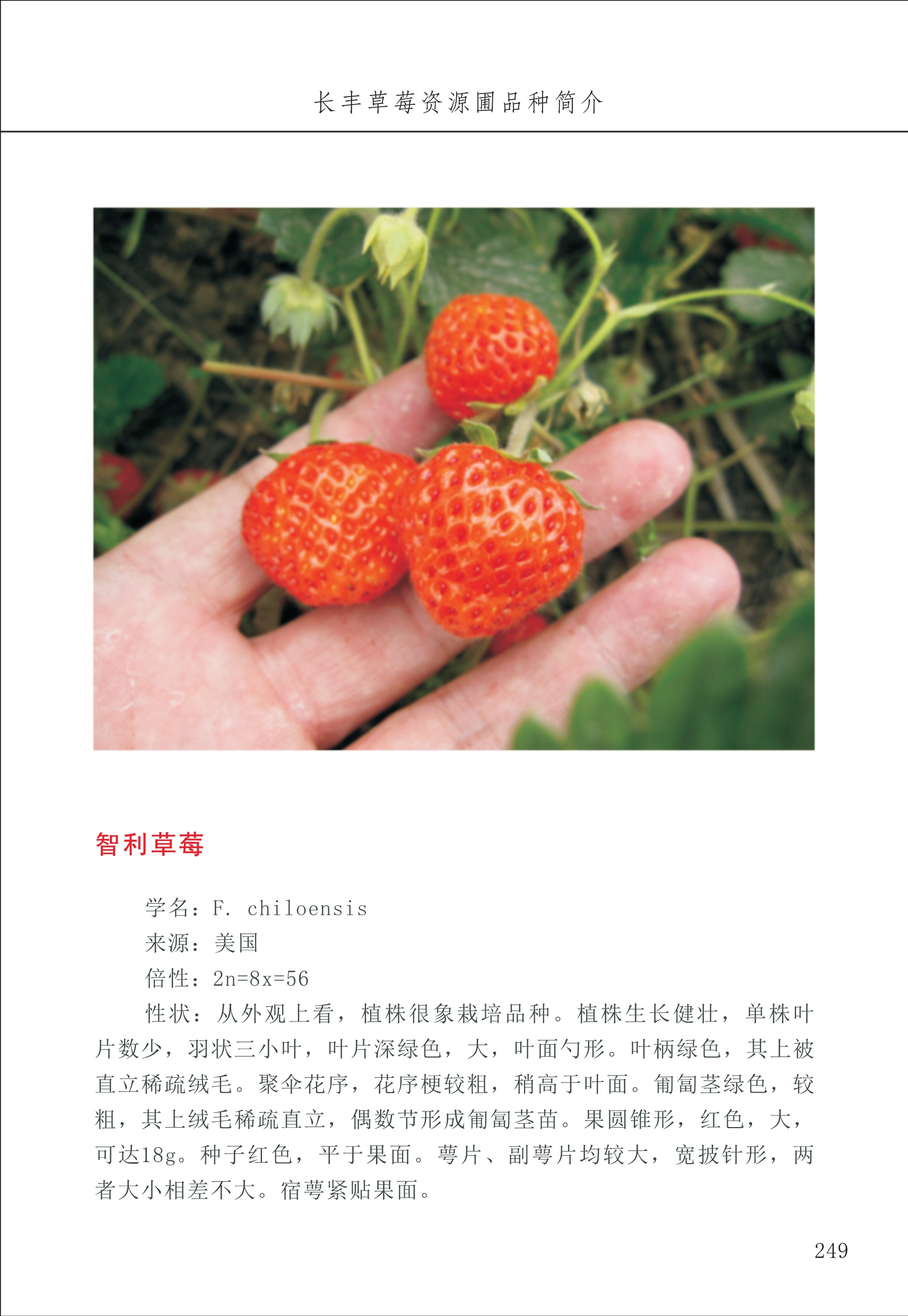長豐農技中心3_49.jpg